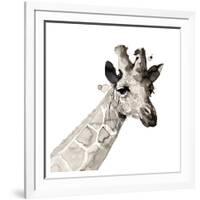 Giraffe-Philippe Debongnie-Framed Art Print