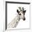 Giraffe-Philippe Debongnie-Framed Art Print