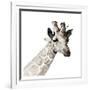 Giraffe-Philippe Debongnie-Framed Art Print