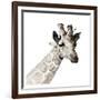 Giraffe-Philippe Debongnie-Framed Art Print