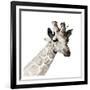 Giraffe-Philippe Debongnie-Framed Art Print