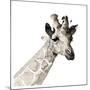 Giraffe-Philippe Debongnie-Mounted Art Print