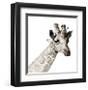 Giraffe-Philippe Debongnie-Framed Giclee Print