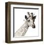 Giraffe-Philippe Debongnie-Framed Giclee Print