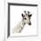 Giraffe-Philippe Debongnie-Framed Giclee Print