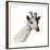 Giraffe-Philippe Debongnie-Framed Giclee Print