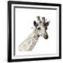 Giraffe-Philippe Debongnie-Framed Giclee Print