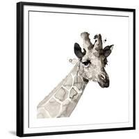 Giraffe-Philippe Debongnie-Framed Giclee Print