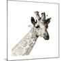Giraffe-Philippe Debongnie-Mounted Giclee Print