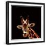 Giraffe-yuran-78-Framed Premium Photographic Print
