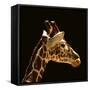 Giraffe-yuran-78-Framed Stretched Canvas