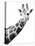 Giraffe-null-Stretched Canvas