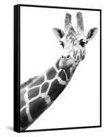 Giraffe-null-Framed Stretched Canvas