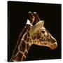 Giraffe-yuran-78-Stretched Canvas