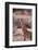 Giraffe-DLILLC-Framed Photographic Print