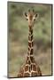 Giraffe-DLILLC-Mounted Photographic Print