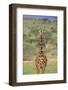 Giraffe-DLILLC-Framed Photographic Print