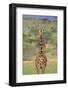 Giraffe-DLILLC-Framed Photographic Print