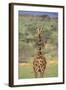 Giraffe-DLILLC-Framed Photographic Print