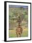 Giraffe-DLILLC-Framed Photographic Print