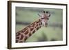 Giraffe-DLILLC-Framed Photographic Print