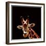 Giraffe-yuran-78-Framed Photographic Print