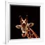 Giraffe-yuran-78-Framed Photographic Print