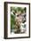 Giraffe-Kitch Bain-Framed Photographic Print