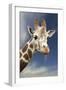 Giraffe-null-Framed Photographic Print