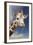 Giraffe-null-Framed Photographic Print