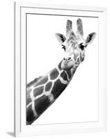 Giraffe-null-Framed Photographic Print