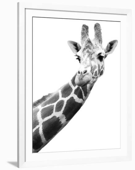 Giraffe-null-Framed Photographic Print