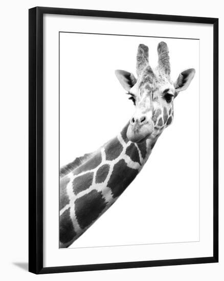 Giraffe-null-Framed Photographic Print