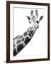 Giraffe-null-Framed Photographic Print