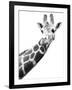 Giraffe-null-Framed Photographic Print