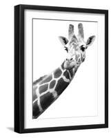 Giraffe-null-Framed Photographic Print