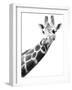 Giraffe-null-Framed Photographic Print