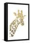 Giraffe-Cristian Mielu-Framed Stretched Canvas