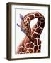 Giraffe-Eric Meyer-Framed Photographic Print