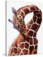 Giraffe-Eric Meyer-Stretched Canvas