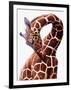 Giraffe-Eric Meyer-Framed Photographic Print