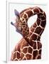 Giraffe-Eric Meyer-Framed Photographic Print