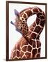 Giraffe-Eric Meyer-Framed Photographic Print