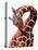 Giraffe-Eric Meyer-Stretched Canvas