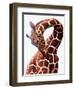 Giraffe-Eric Meyer-Framed Premium Photographic Print