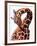 Giraffe-Eric Meyer-Framed Photographic Print