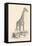 Giraffe-null-Framed Stretched Canvas