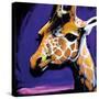 Giraffe-null-Stretched Canvas