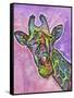 Giraffe-Dean Russo-Framed Stretched Canvas