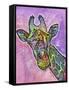 Giraffe-Dean Russo-Framed Stretched Canvas